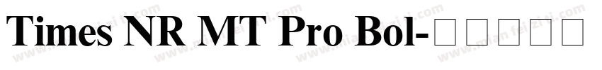 Times NR MT Pro Bol字体转换